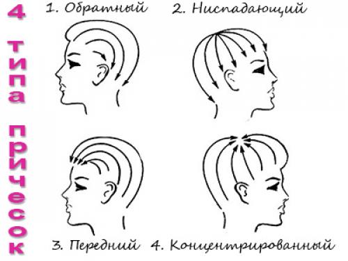 Как Выглядят Ацентральные Или Ниспадающие Прически