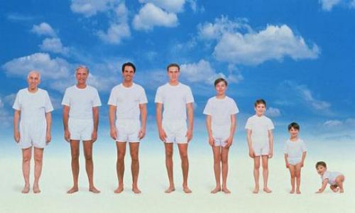 Когда перестает. Во сколько лет человек перестает расти 05