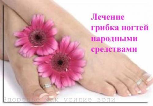 Быстро вылечить грибок ногтей. Мой отзыв о лечении грибка ногтей на ногах народными средствами
