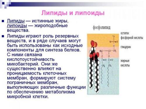 Крем для сухой кожи лица рейтинг. 17 увлажняющих крема для лица: рейтинг лучших натуральных от косметологов