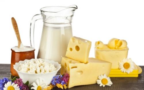 Чем заменить животный белок. «Животные» заменители мяса