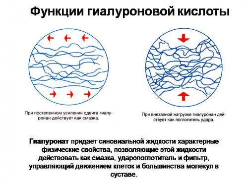 Гиалуроновая кислота в капсулах для лица. Как применять капсулы с гиалуроновой кислотой для лица