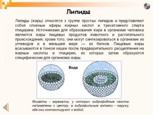 Увлажняющий крем для лица. Область применения увлажняющих кремов