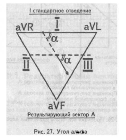 Угол альфа. Электрическая ось сердца треугольник Эйнтховена. Электрическая ось по углу Альфа. Угол Альфа при r1=s1. Определение ЭОС треугольник Эйнтховена.