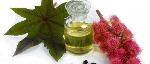 Касторовое масло от остеохондроза. Касторовое масло для суставов