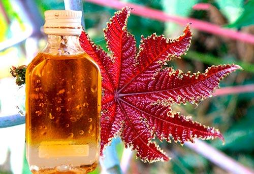 Артрит пальцев рук лечение народными средствами. Лечение народными средствами