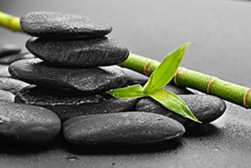 Крем-бальзам шунгит инструкция. Шунгит крем-бальзам для суставов — состав, когда эффективен? 02