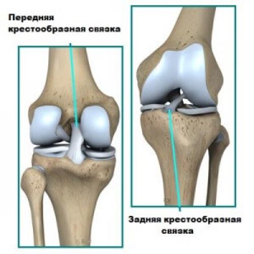 Колено растяжение сухожилий. Хронический стресс в колене, отек мышц, растяжение или растяжение. Растяжение связок голеностопного сустава сколько заживает. Сколько. Анатомия коленного сустава человека :: SYL.ru