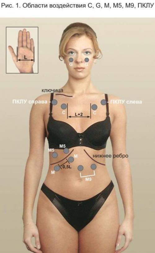 Фонирование википедия. Области воздействия и места установки виброфонов