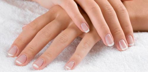 Структура пальца с ногтем. Анатомия и физиология ногтя