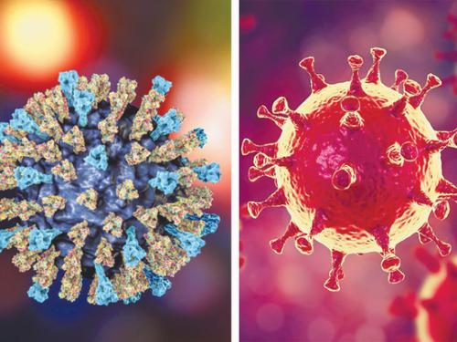 Почему до сих пор не создана вакцина от коронавируса? Вакцину от коронавируса в России сделают из вируса кори