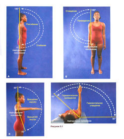 Вращение вокруг своей оси при поднятии плеча. Плечо, плечевой пояс и плечевой сустав 03