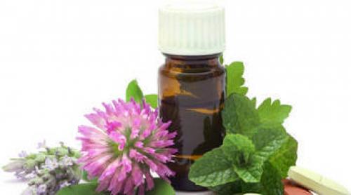 Растительные эстрогены препараты. РАСТЕНИЯ, БОГАТЫЕ ЭСТРОГЕНАМИ