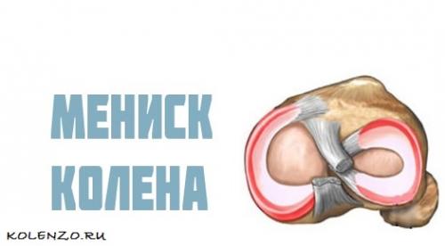 Коленный сустав. Эффективные средства от боли в коленном суставе