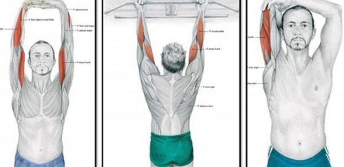 Сколько восстанавливаются связки. Сколько длится период восстановления? 02 Сколько восстанавливаются связки. Сколько длится период восстановления? 02