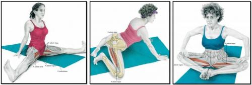 Сколько восстанавливаются связки. Сколько длится период восстановления? 04 Сколько восстанавливаются связки. Сколько длится период восстановления? 04