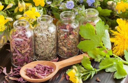 Советы народной медицины рецепты травников и знахарей мира.