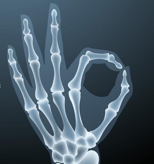 Сколько костей в кисти. Анатомия кисти. Строение костей кисти.