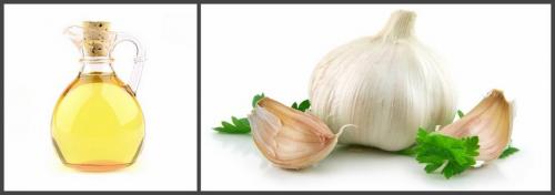 Мед при артрозе коленного сустава. Артроз коленного сустава: лечение народными средствами, лучшие рецепты