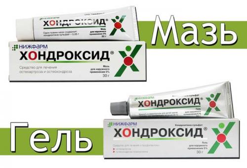 Хондроксид. Формы выпуска и состав препарата