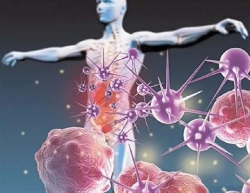 Бесплатные прививки взрослым. Какие прививки делают взрослым – таблица по возрасту