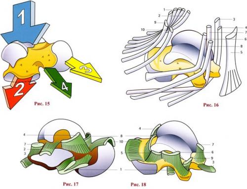 Асептический некроз таранной кости лечение. Лечение некроза таранной кости голеностопного сустава в Москве 01 Асептический некроз таранной кости лечение. Лечение некроза таранной кости голеностопного сустава в Москве 01