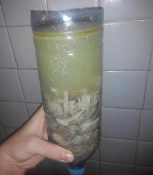 Холодец на Новый год. Холодец хрюша на новый год 2019