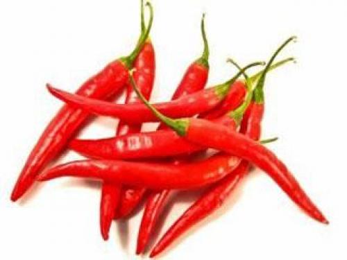 Как использовать перца стручкового настойку для волос. Как применять настойку перца стручкового для роста волос – инструкция 05