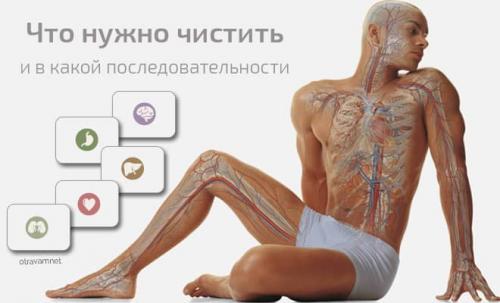 Комплексное очищение организма в домашних условиях. Что нужно чистить и в какой последовательности