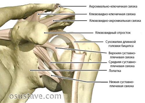 Как замотать плечо при растяжении. Причины растяжения связок плечевого сустава, симптомы, как лечить
