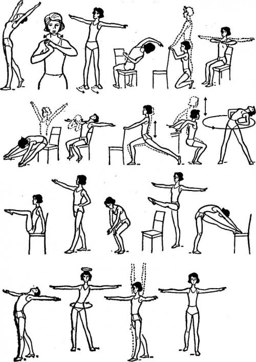 Упражнения для красивой осанки. Упражнения для красивой осанки