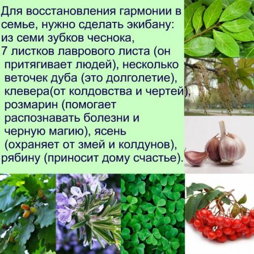 Бабушкины советы на все случаи жизни. Бабушкины мудрые советы на все случаи жизни