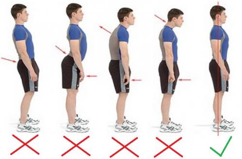 Упражнения для красивой осанки. Упражнения для красивой осанки