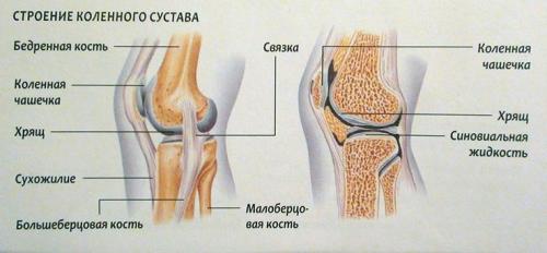 Боль в колене. Боль в коленном суставе: причины, лечение, почему болят колени, что с этим делать, как и чем их лечить