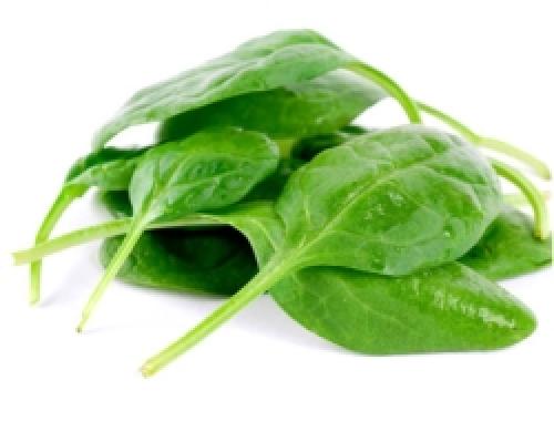 Зелень польза и вред для организма. Польза и вред зелени