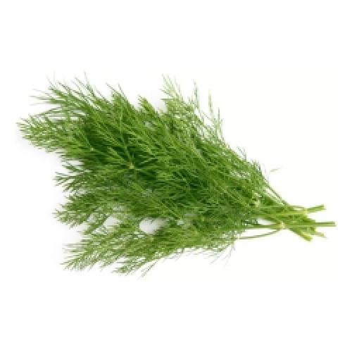 Зелень польза и вред для организма. Польза и вред зелени