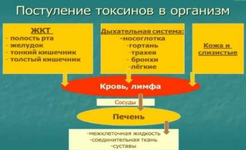 Как почистить лимфу солодка и Энтеросгель эликсир молодости. Очищение лимфы солодкой и энтеросгелем: отзывы врачей и пострадавших
