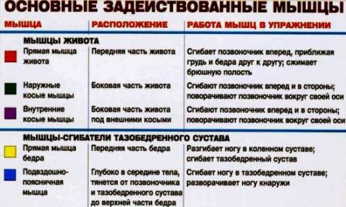 Как правильно качать пресс на скамье для пресса. Упражнения на скамье для пресса