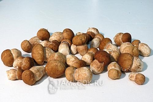 Пирожки с картошкой и грибами. Пирожки с картошкой и грибами в духовке