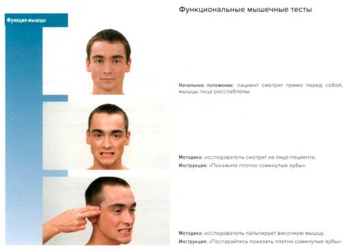 Одноосный сустав цилиндрический. I. Одноосные суставы 12 Одноосный сустав цилиндрический. I. Одноосные суставы 12