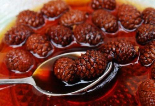 Мед из еловых шишек. Мед из сосновых шишек