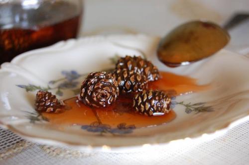 Мед из еловых шишек. Мед из сосновых шишек