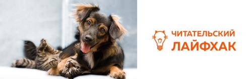 Лучшее средство для суставов и связок. Средняя эффективность 03 Лучшее средство для суставов и связок. Средняя эффективность 03