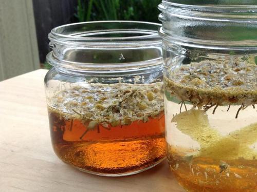 Ромашка для лица от морщин. Как готовить ромашковые отвары и настои?