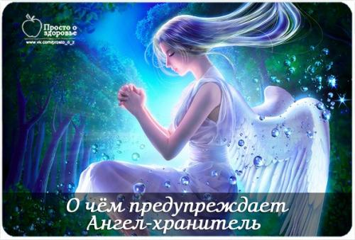 Как ангел-хранитель предупреждает человека. О чём предупреждает Ангел-Хранитель