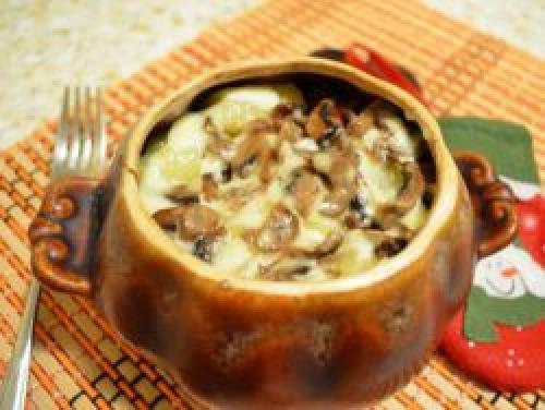 Рецепт приготовления куриной грудки на сушке. Вторые блюда при безуглеводной диете