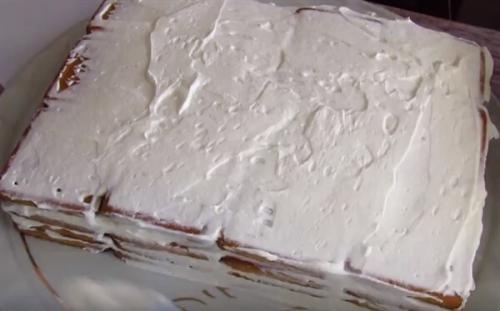 Торт из печенья без выпечки. Как приготовить торт без выпечки с маскарпоне и печеньем в домашних условиях?