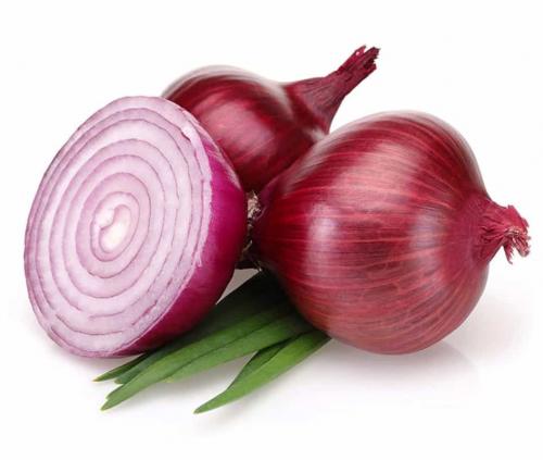 Рецепты на сушке для мужчин. Рецепты