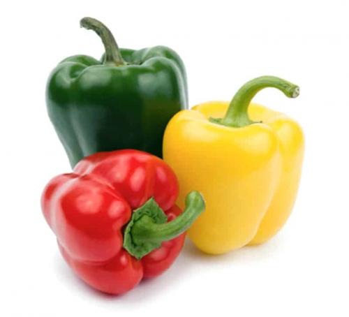 Рецепты на сушке для мужчин. Рецепты