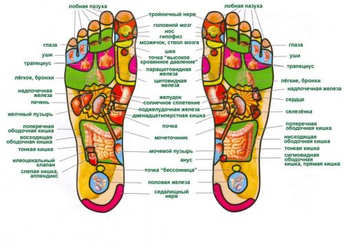 Активные точки на теле человека в картинках